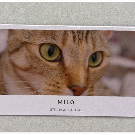 A rectangular pet portrait card featuring a close-up photo of a tabby cat with green eyes, bordered in white with the name 'MILO' and the phrase 'LITTLE PAWS, BIG LOVE.' printed below the photo, placed on a light gray textured surface.